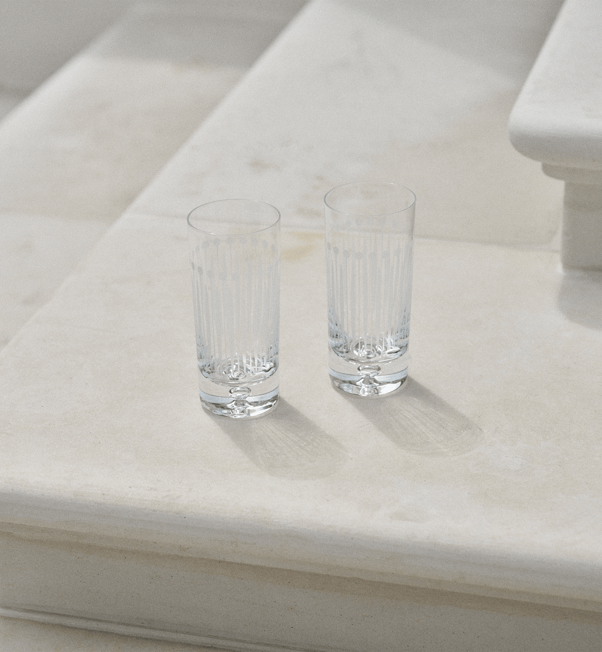 HIGHBALL 380 Botanic Tumblers, 380 ml